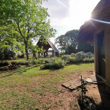 Drakensberg Bush Lodge And Backpackers Уинтертон Экстерьер фото