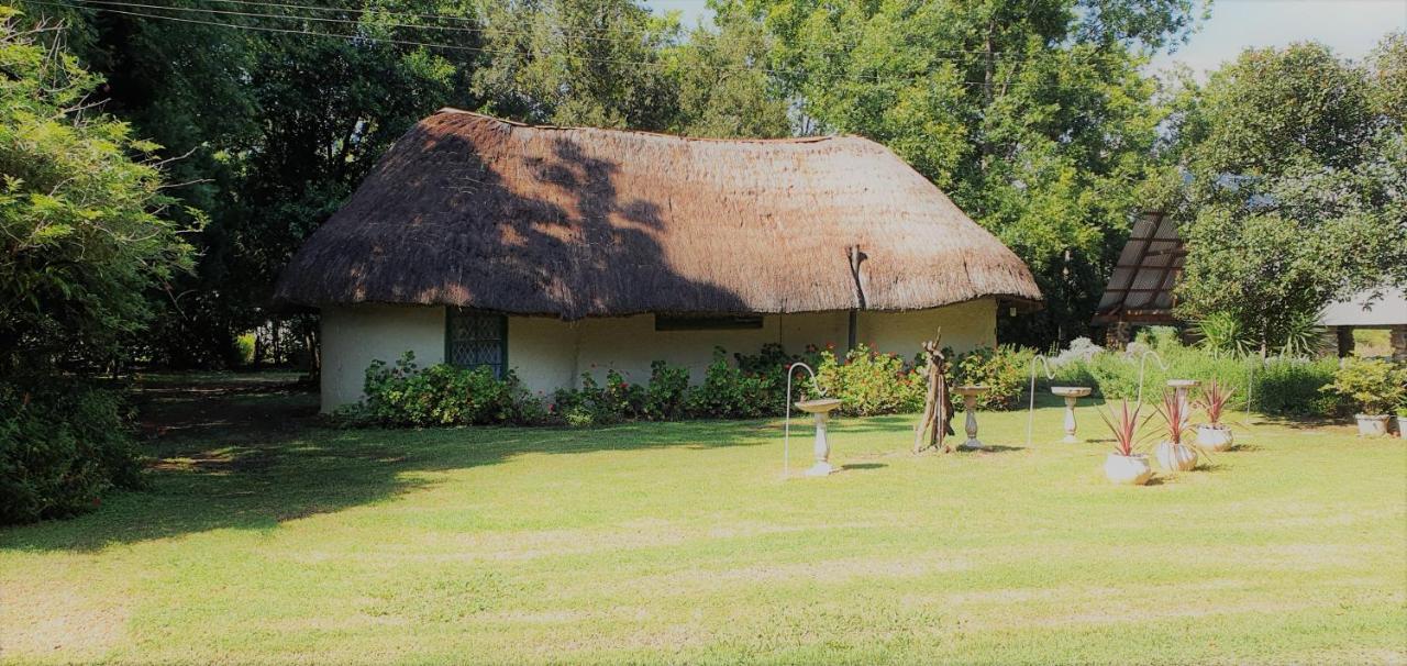 Drakensberg Bush Lodge And Backpackers Уинтертон Экстерьер фото